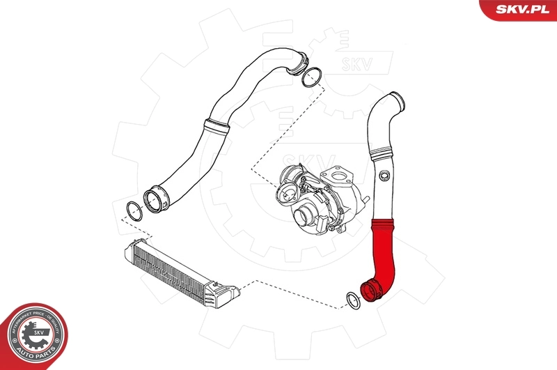 Charge Air Hose